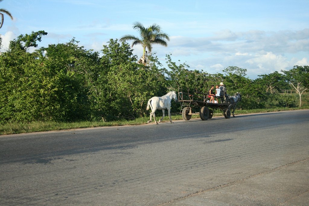 Autobahn Cuba, 2008